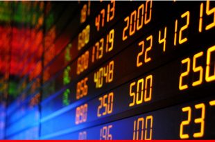 Stock Watch