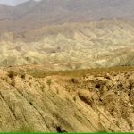 Chaman3